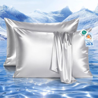 Elegear Cooling Satin Pillow Cases Set of 2